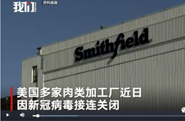史密斯菲爾德、泰森等國外肉類巨頭停工，或引發(fā)全球“肉慌”？