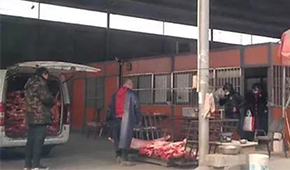 又見瘦肉精，河北青縣問題羊肉流向河南等地！當地政府緊急回應