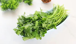 香菜餅、香菜丸、香菜油條、香菜小酥肉…香菜為啥這么“香”？