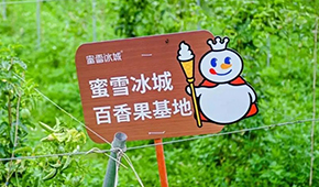 今日上市！覆蓋全球六大洲38個國家，“雪王”的采購網到底有多牛？