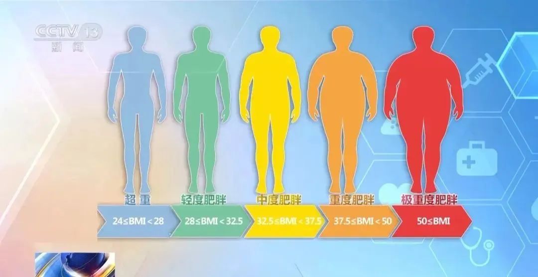 1745548543919828.jpg