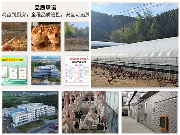 微信圖片_20250630093339.jpg